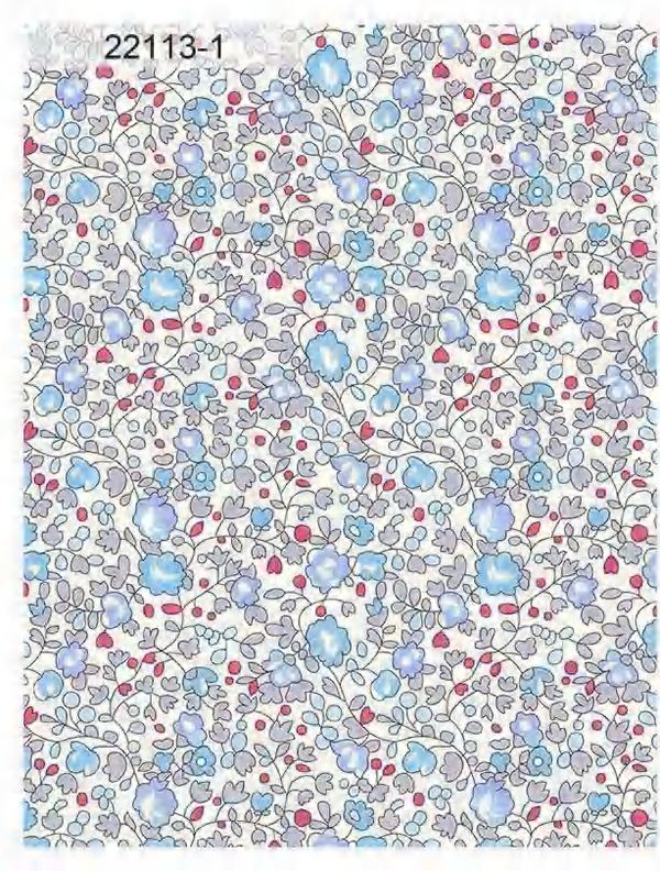 22113-1