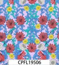 CPFL19506