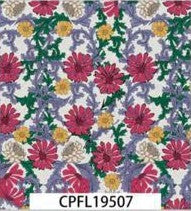 CPFL19507