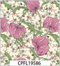 CPFL19586