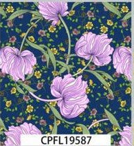 CPFL19587