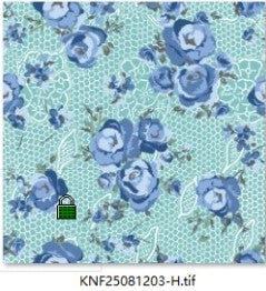 KNF25081203