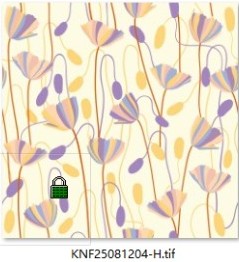 KNF25081204