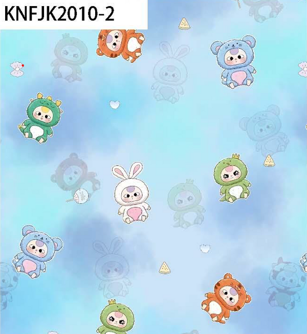 KNFJK2011-2