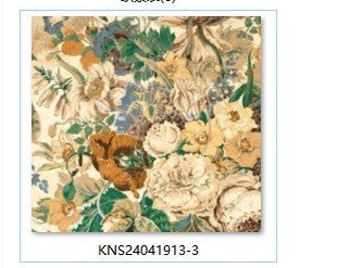 KNS24041913-3
