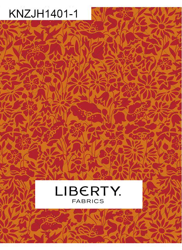 KNZJH1401-1