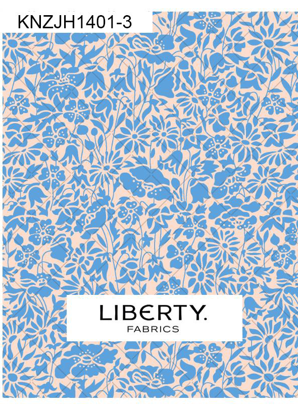 KNZJH1401-3