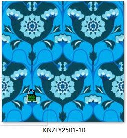 KNZLY2501-10